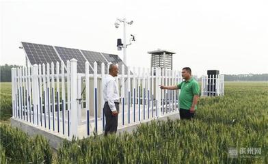 邹平智慧农田监测系统覆盖20万亩农田，元瑞科技引领精准农业新篇章